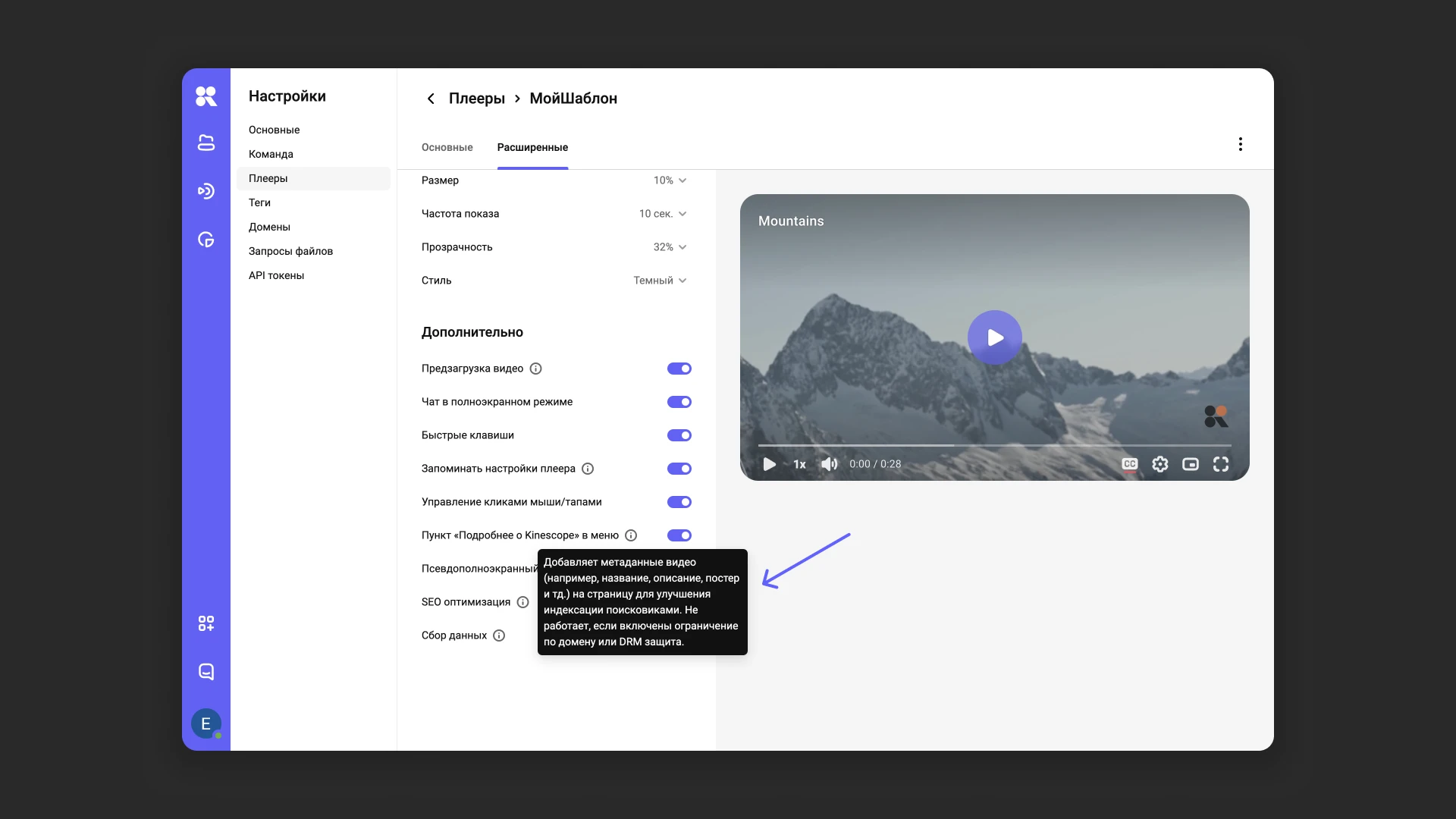 Настройки SEO-оптимизации плеера